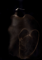 http://www.actionaqua.com/files/gimgs/th-138_20250419DJI0012 invert.jpg